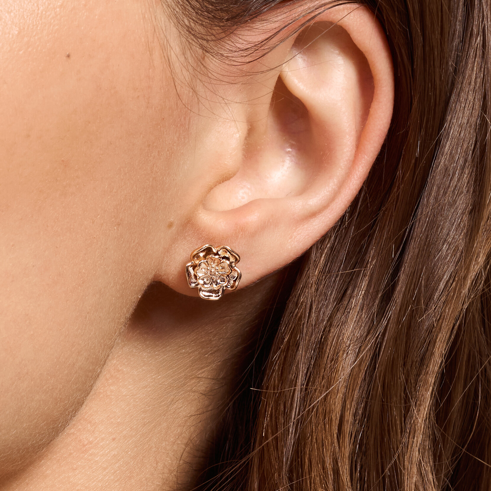 Tudor Rose Rose Gold Plated Stud Earrings
