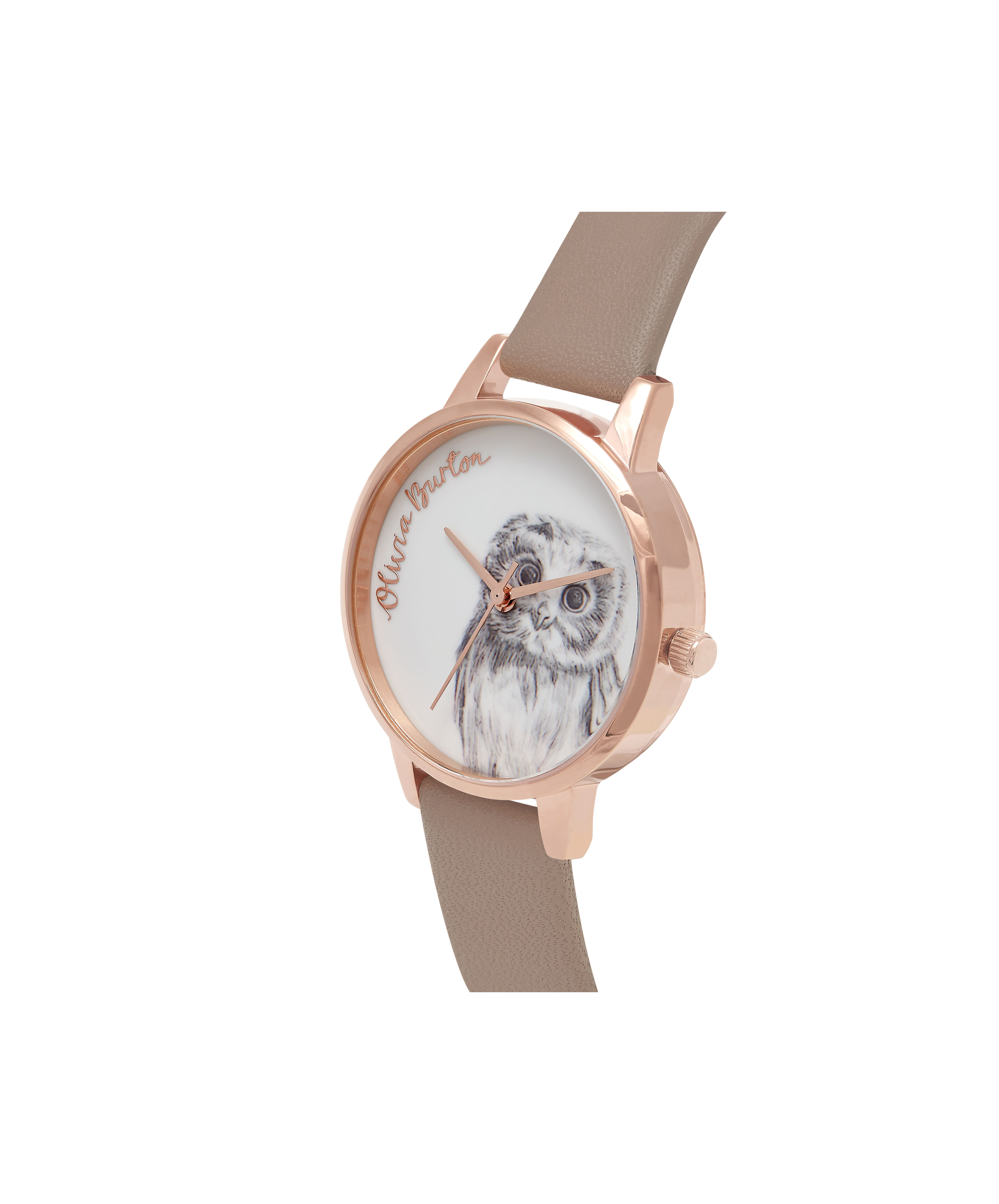 Woodland Animals