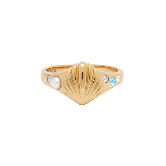 Under The Sea Gold Signet Ring