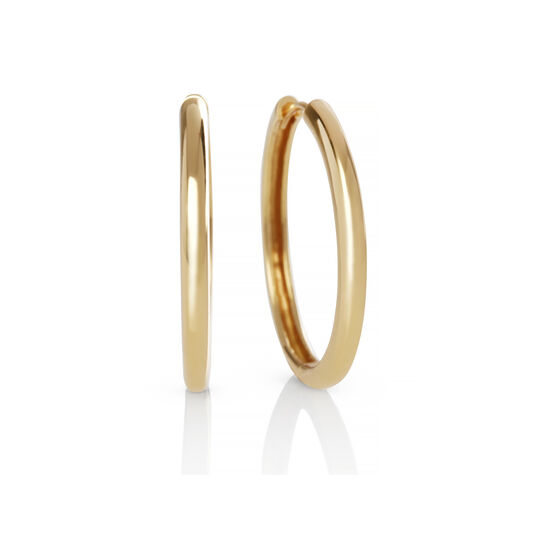 Gold Hoop Earrings