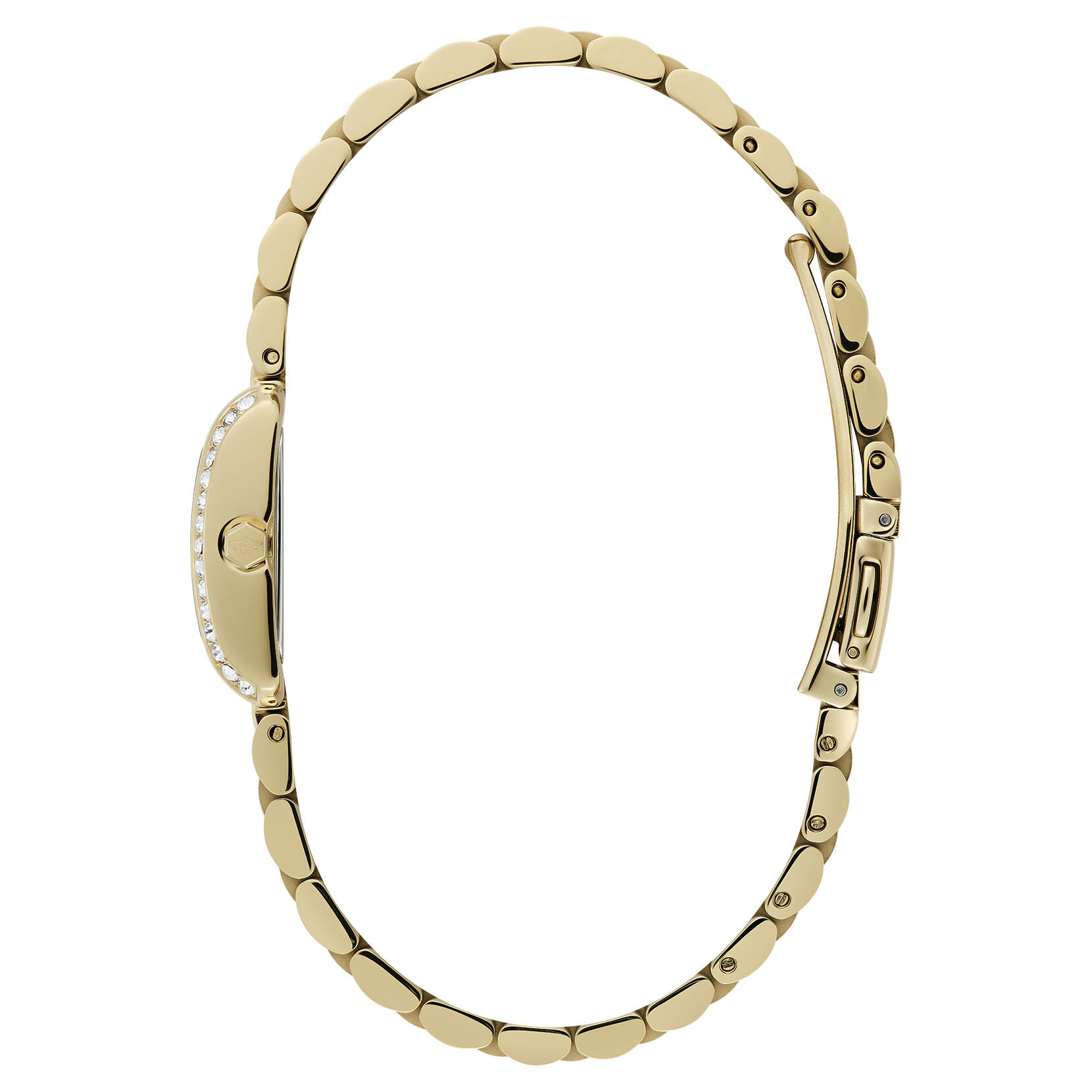 Montre Berkley Vert & Bracelet Or 21mm