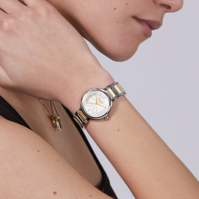 Montre Pembroke Blanc & Bracelet Bicolore 30mm
