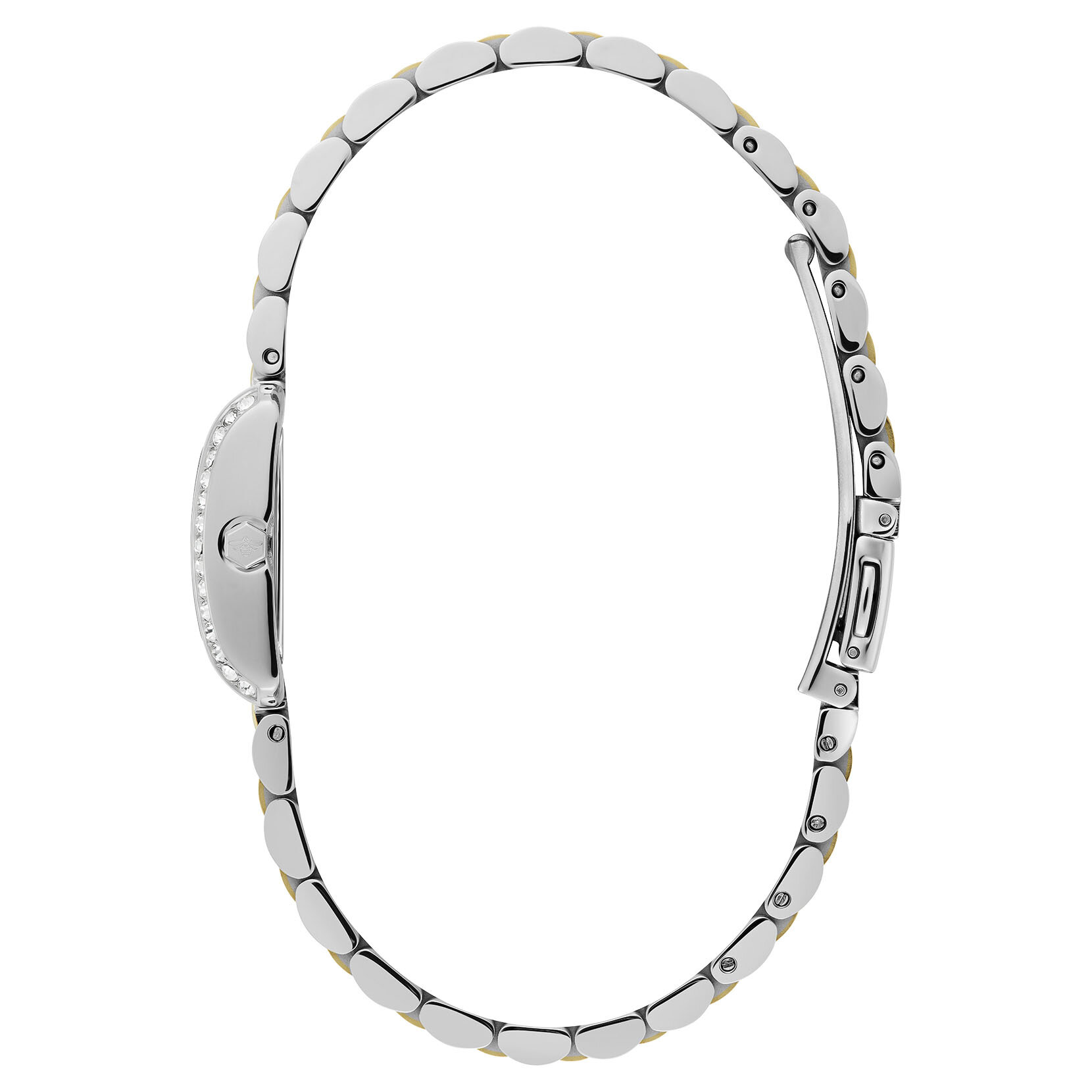 Montre Berkley Noir & Bracelet Bicolore 21mm