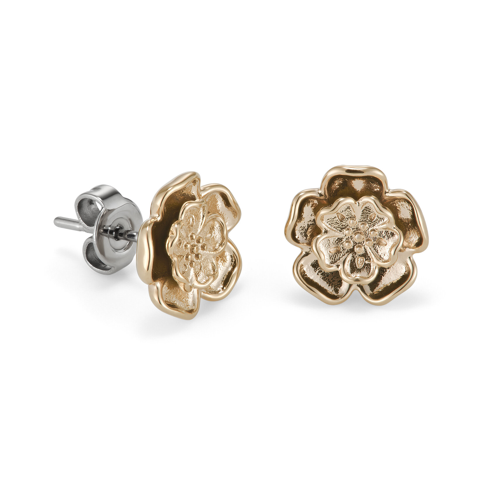 Tudor Rose Rose Gold Plated Stud Earrings