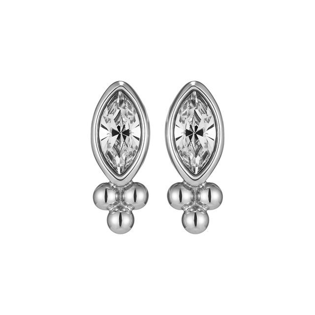 Clous d'oreille Dainty Argent