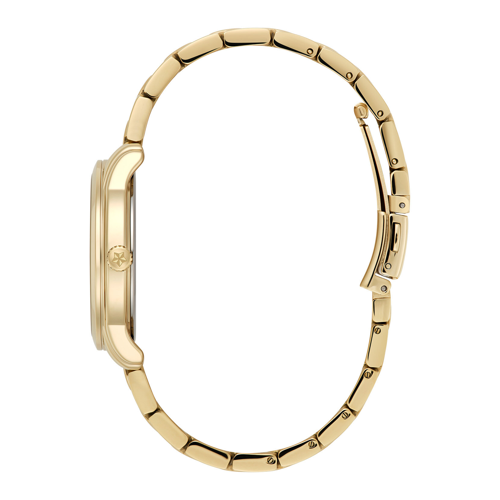 36mm Colourwave Green Ombre & Gold Bracelet Watch