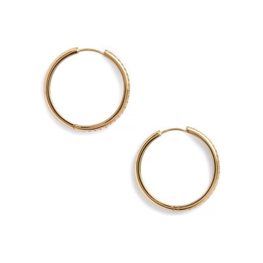 Cubic Zironia & Gold Hoop Earrings
