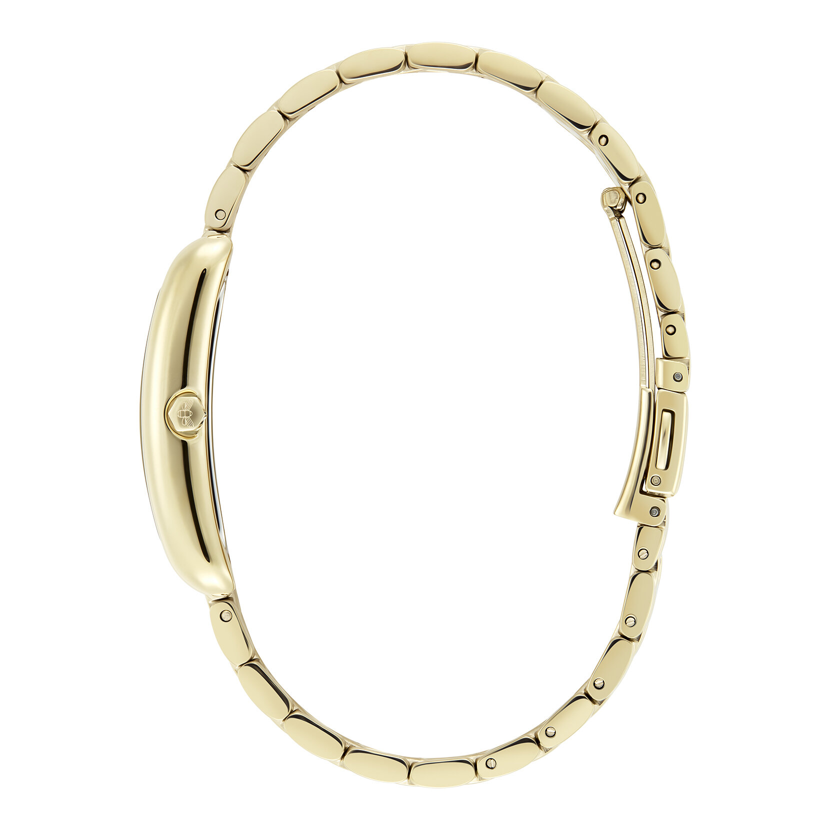 Bracelet de Montre Grove 23mm Vert Forêt & Or