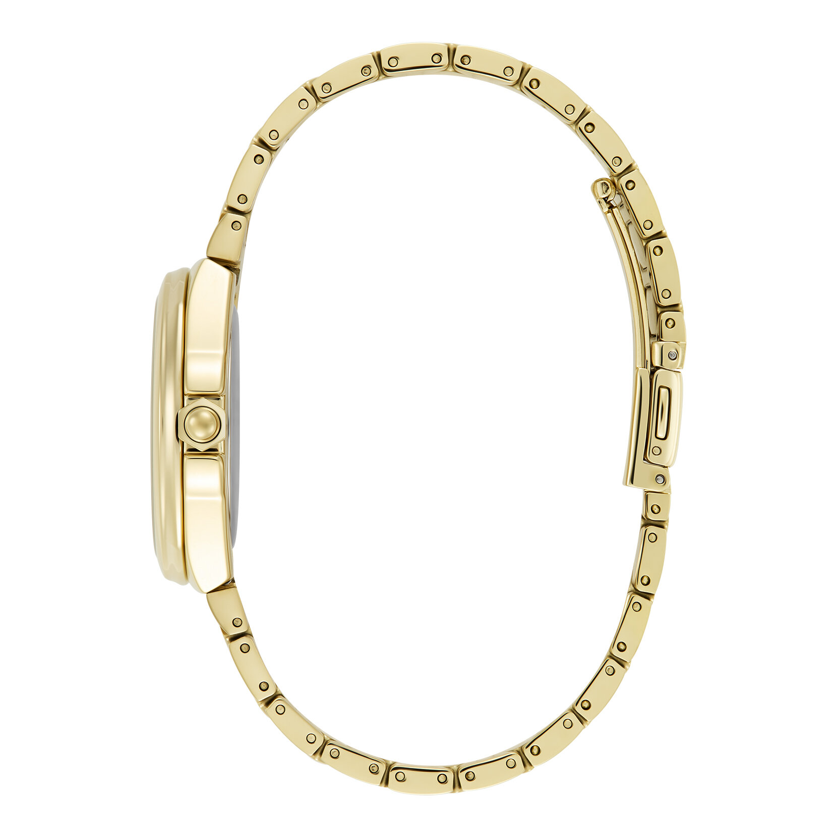 Bracelet de Montre Lustre 34mm Champagne & Or
