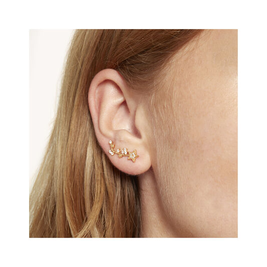 Celestial Crawler & Stud Gold Earring