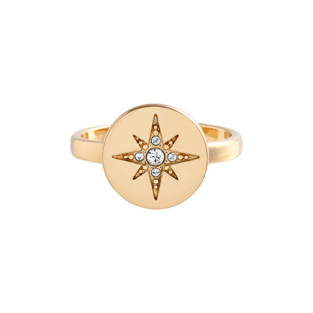 Bague Noth Star or à disque