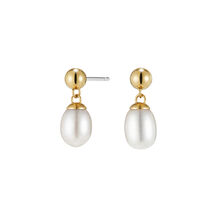 By The Sea Pearl Gold Plated Drop Earrings
