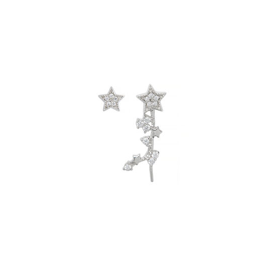Celestial Crawler & Stud Silver Earring