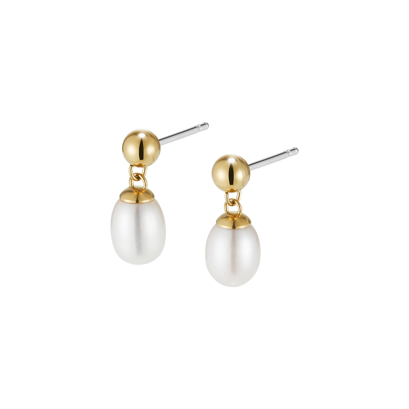 By The Sea Pearl Gold Plated Drop Earrings