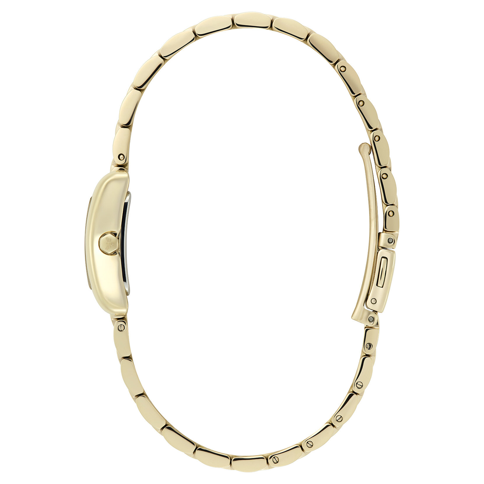 16mm Mini Grove Forest Green & Gold Bracelet Watch