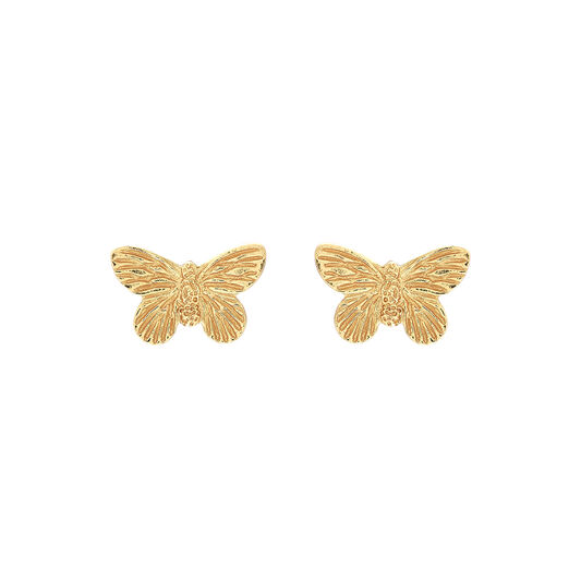 3D Butterfly Gold Studs