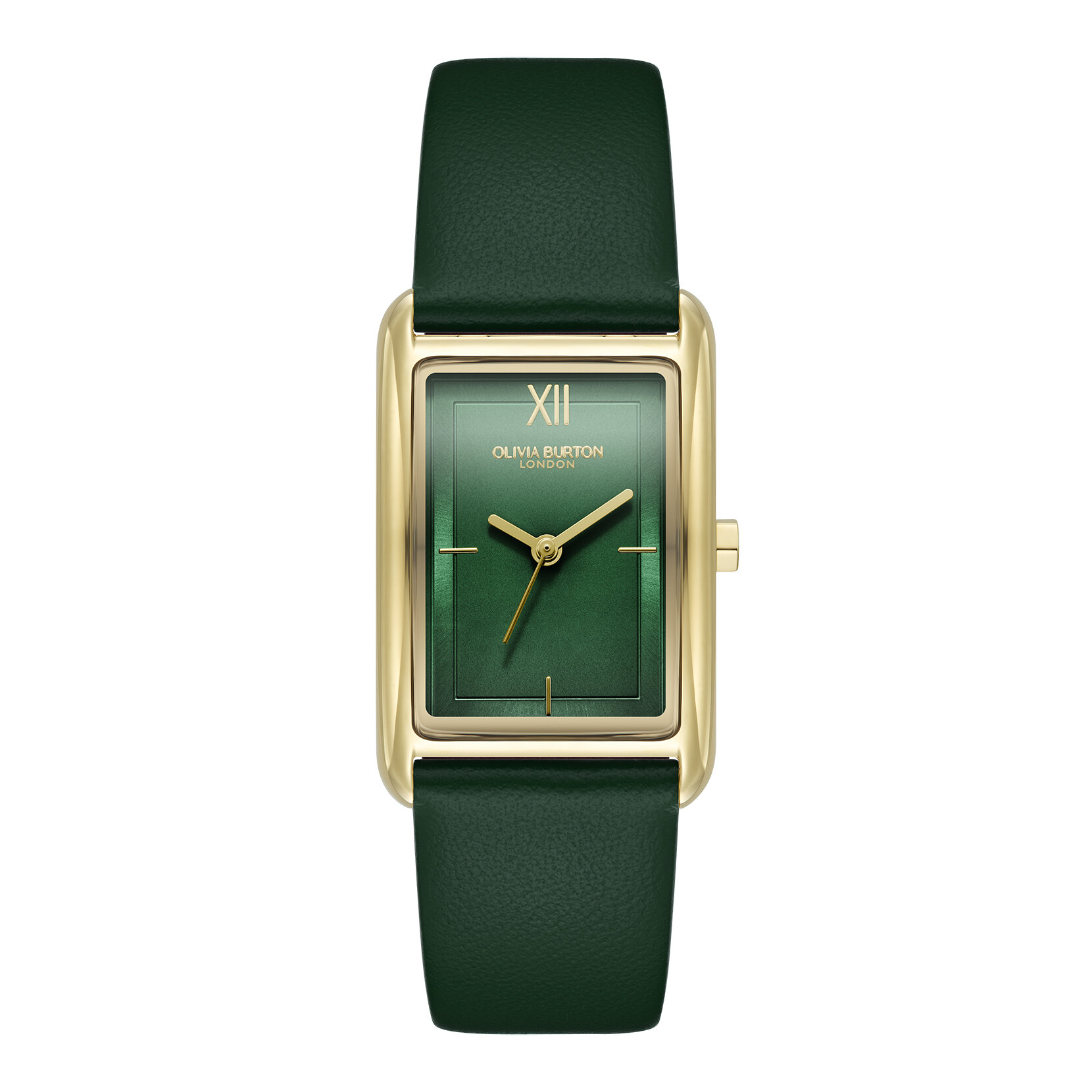 Bracelet de Montre en Cuire Grove 23mm Or & Vert Forêt